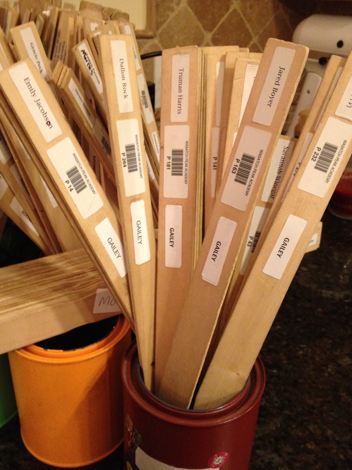 Bookinitat50 Lesson Plan on Using Paint Sticks as Library Cards and